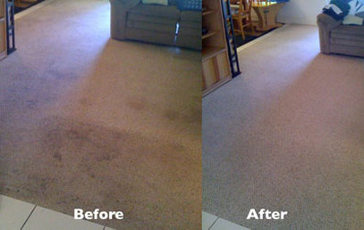 Carpet Cleaner | Ossining | Tarrytown | Mount Kisco | NY 
