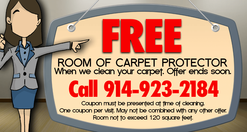 Carpet Cleaner | Carpet Cleaners | Ossining | Tarrytown | Mount Kisco | NY 